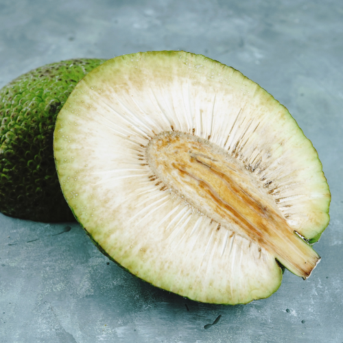 Breadfruit