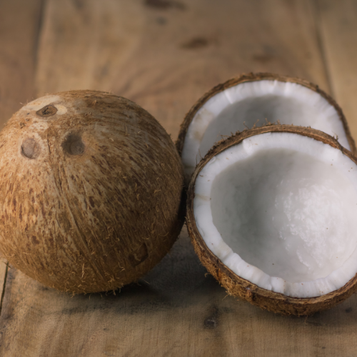 Shredded Coconut Meat